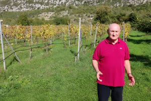 Branko Roglić: Vino je emocija, nasljeđe, identitet, povezanost s mjestom rođenja