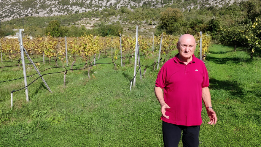 Branko Roglić: Vino je emocija, nasljeđe, identitet, povezanost s mjestom rođenja