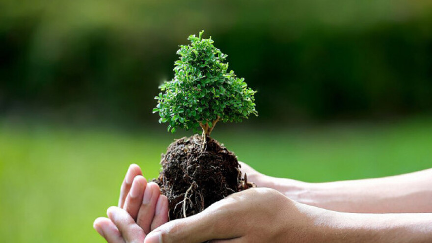 Srbija do EU eko standarda za 20 godina?