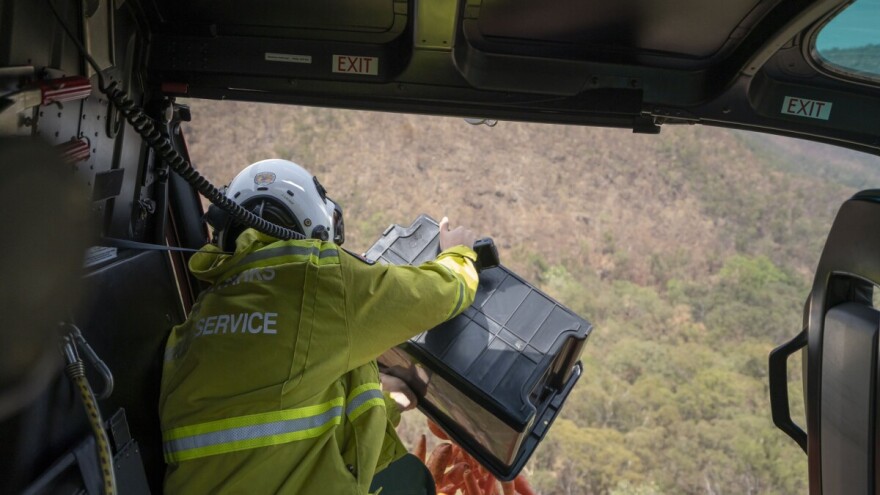 Iz aviona bacaju mrkvu i batat gladnim životinjama u opožarenim područjima