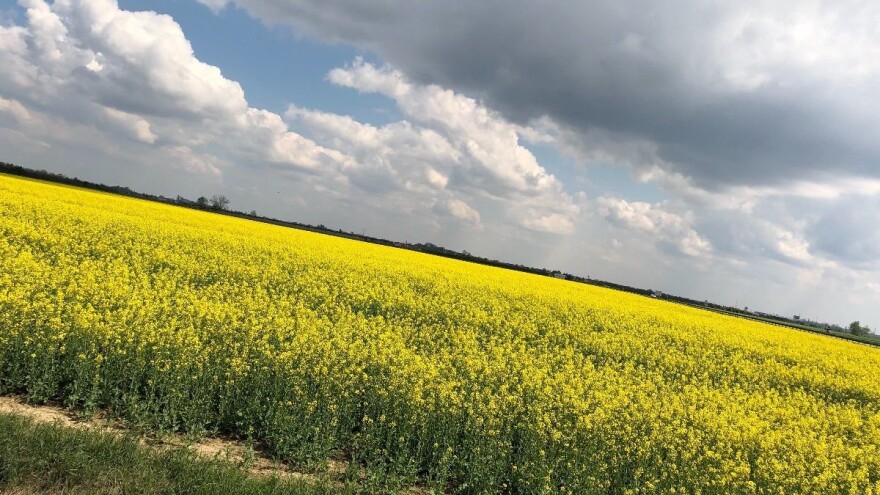 Prijedlog pravilnika o zaštiti poljoprivrednog zemljišta od onečišćenja
