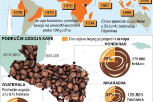 Zbog gljivične pošasti slijedi poskupljenje kave
