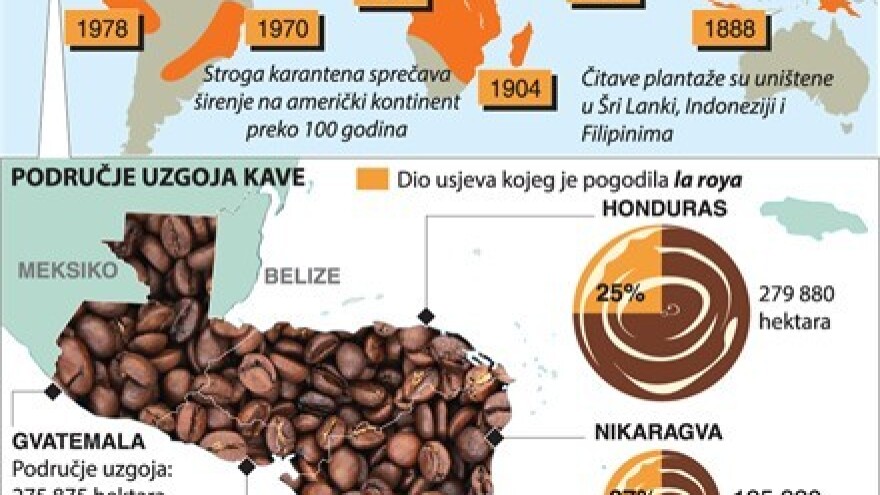 Zbog gljivične pošasti slijedi poskupljenje kave