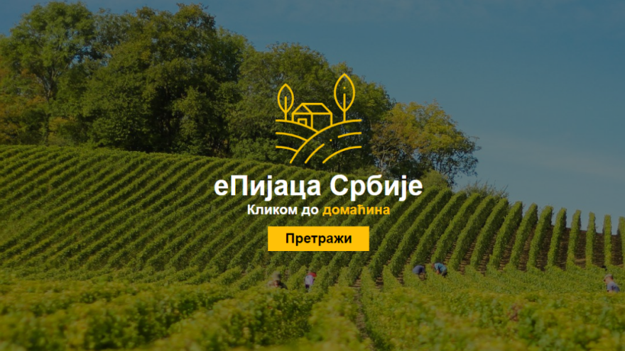 Elektronska pijaca Srbije počela sa radom