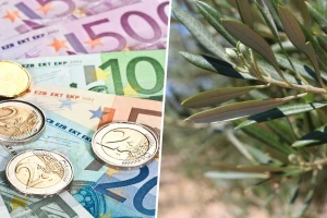 Uzeo 220.000 eura za nepostojeći maslinik? EU tužitelji podigli optužnicu