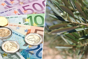 Uzeo 220.000 eura za nepostojeći maslinik? EU tužitelji podigli optužnicu