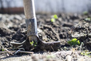 Potpisano prvih 309 ugovora od 3.082 projekta koji će se financirati kroz tip operacije 6.3.1.!