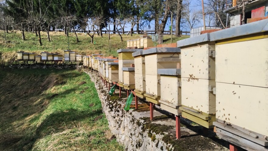 Ivan Erdeljac: mikroorganizmi i stajsko gnojivo važni su za pravilan razvoj pčela