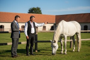 Ergela Lipik prati normative EU-a