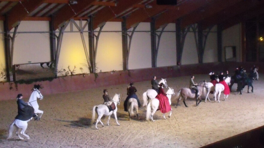 Veličanstvena proslava Sv. Huberta na ergeli Đakovo