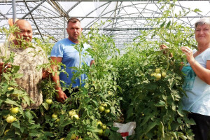 Vrijedni Erlići iz Tinja na "50 dana oranja" proizveli 625 tona povrća