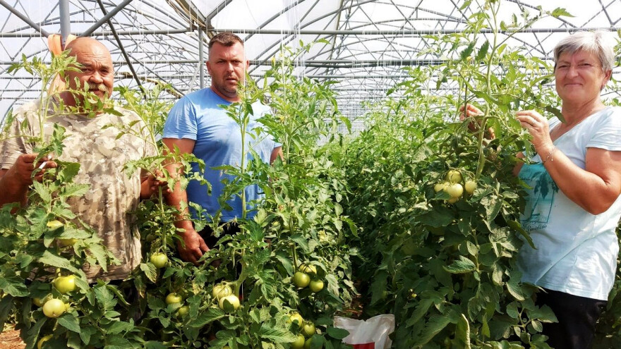 Vrijedni Erlići iz Tinja na "50 dana oranja" proizveli 625 tona povrća