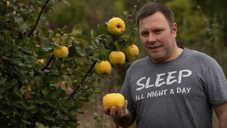 Alternativna zaštita protiv Erwinie