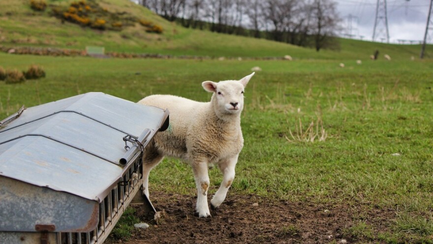 Financiranje projekata energetske učinkovitosti – ESCO model