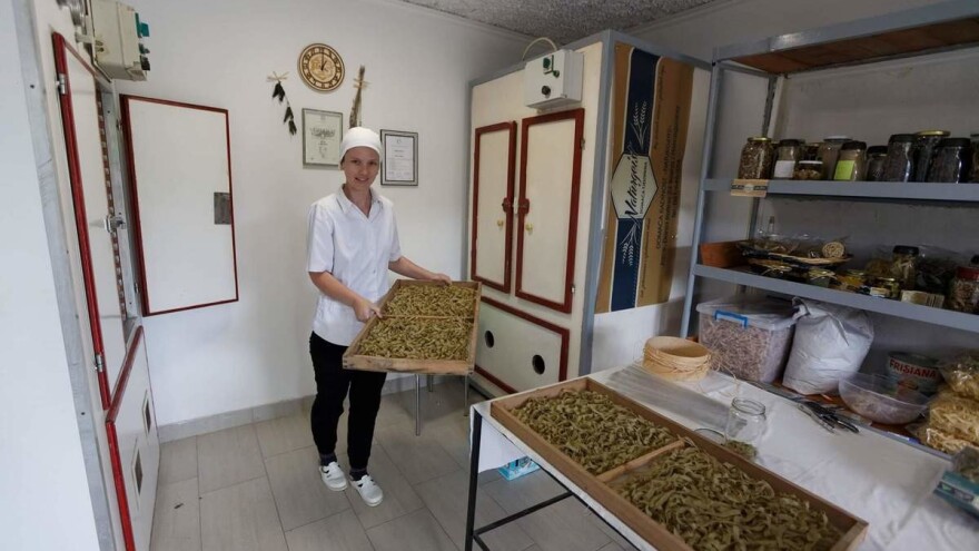 Esma Zjajo: Inovatorica izrađuje Naturgeist - domaću tjesteninu sa jajačkim prefiksom