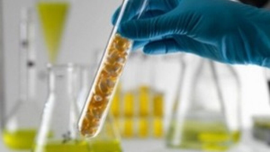 Osijek postaje proizvođač etanola