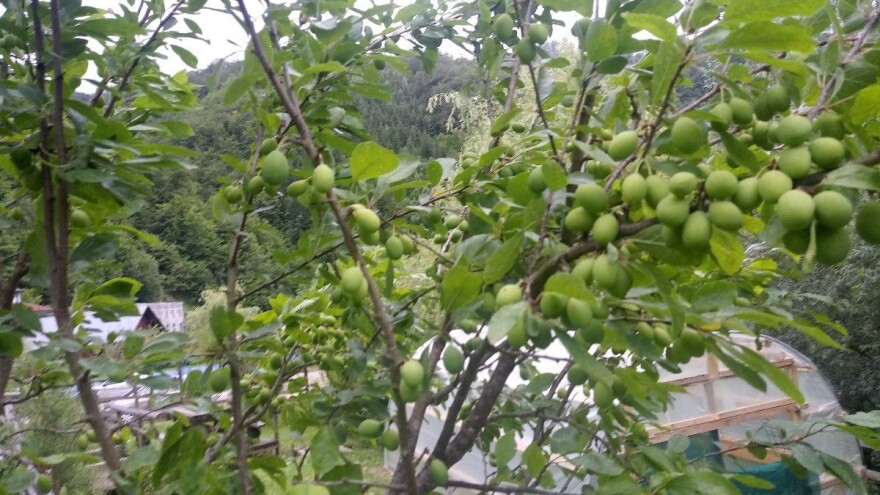 Pred nama je oblačan i kišovit vikend, ali i dalje će biti toplo