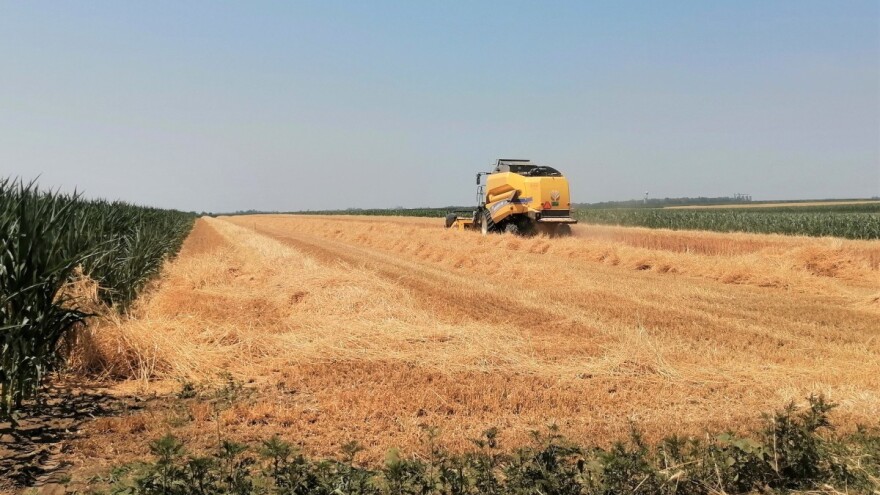 Umerena do jaka suša na većem delu Srbije - idealno za razvoj insekata