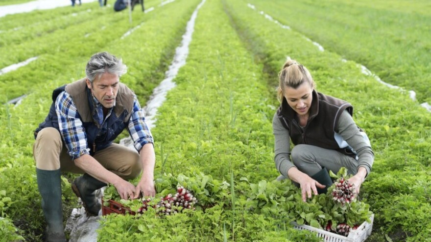 U EU poljoprivredi zaposleno 44 milijuna ljudi