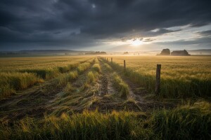 EU AgroInfo - broj 22