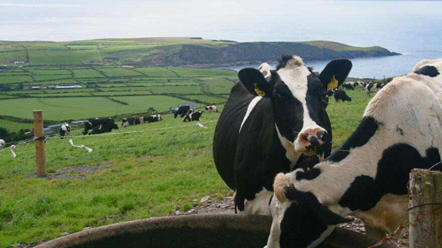 Publikacija: Kako će Brexit utjecati na poljoprivredu EU?