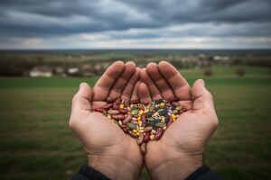EU čeka reforma eko sektora i Zakona o sjemenu!