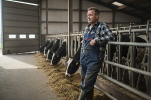 EU finansira mlekare s 500 miliona evra!