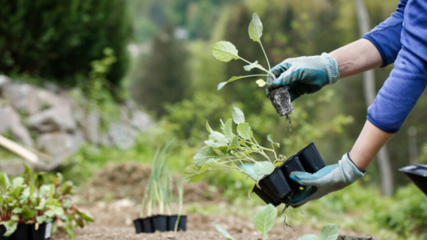 Kroz fondove u gospodarstvo EU uloženo 278 milijardi eura