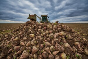 EU komisija priprema ukidanje kvota za šećer