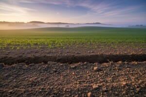 EU kontradiktorna oko stava o GMO!