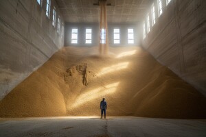 EU planira prodati zalihe žitarica