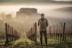 EU razmatra reviziju reforme vinskog sektora