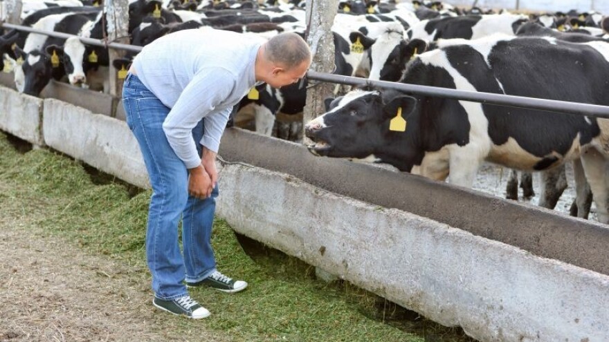 Koga sve hranite kada kupujete hrvatsko mlijeko?