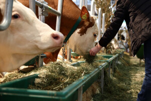 EuroTier - sajam animalne proizvodnje