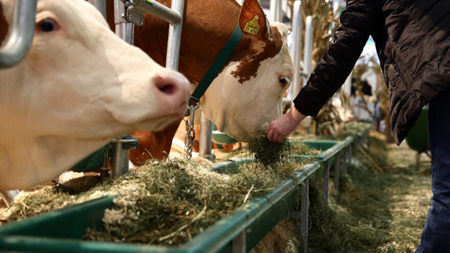 EuroTier - sajam animalne proizvodnje