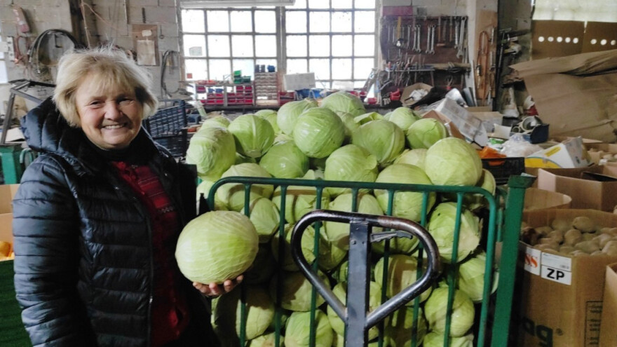 Kako je uzgoj kupusa doveo do razvoja ruralnog turizma i titule europska prijestolnica zelja?