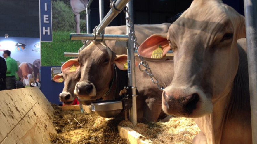 Posjetite EuroTier i inovacije tvrtke Fanon!