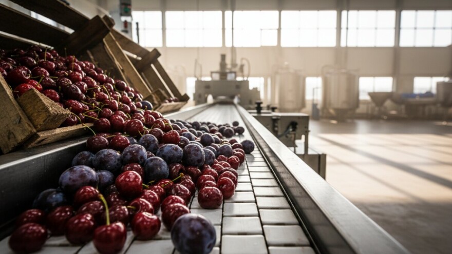 Eurovoće će preraditi 10 tisuća tona voća i povrća