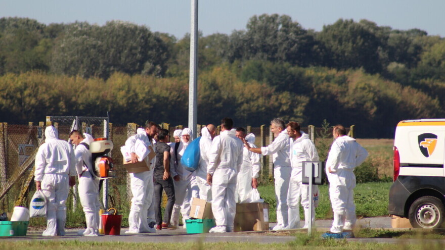 Mala zemlja za veliki uvoz: Statističke akrobacije, specijalni rat i veterinar kao egzekutor