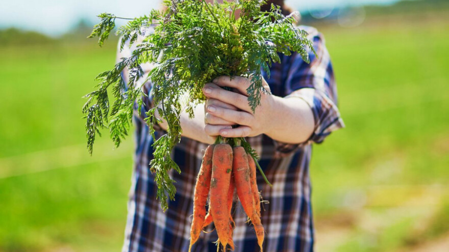 Brexit će protresti tržište voća, povrća i mlijeka?