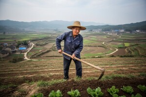 Evo zašto kažu da Kina ima najgore farme na svijetu
