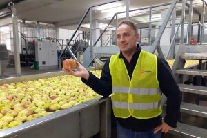 Najveći su proizvođač i distributer voća u Sloveniji, ali jabuka iz uvoza kod njih nema