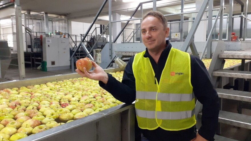 Najveći su proizvođač i distributer voća u Sloveniji, ali jabuka iz uvoza kod njih nema