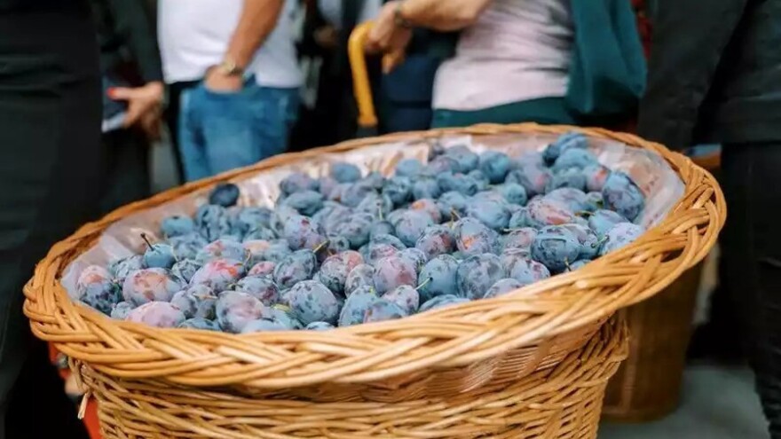 Želite štand na Sajmu šljive u Gradačcu - evo detalja