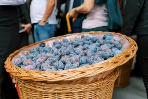Želite štand na gradačačkom "Sajmu šljive" - evo detalja