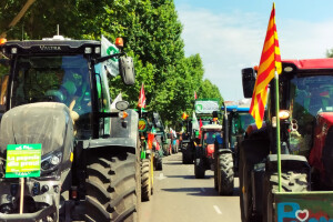 Zašto su španjolski poljoprivrednici opet na ulicama Madrida?