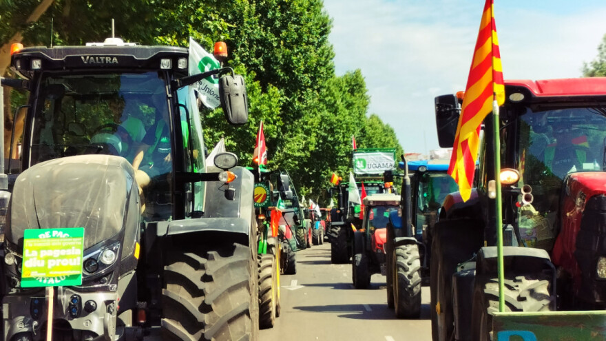 Zašto su španski poljoprivrednici opet na ulicama Madrida?