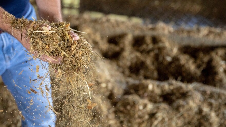 Koje ključne korake primijeniti da bi ograničili potencijalni rizik od mikotoksina u skladištu?