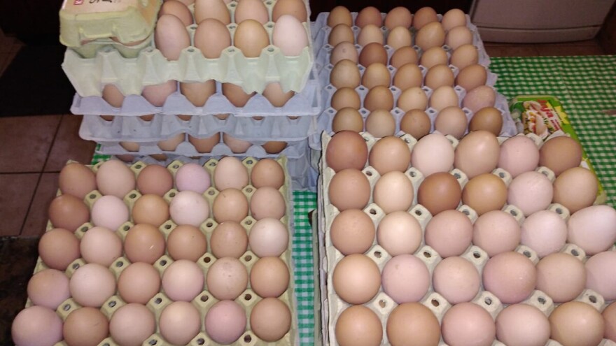 Od prodaje domaćih jaja, meda i likera od maline lepo žive