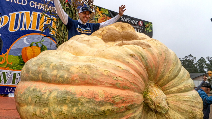 U dvije sedmice srušen rekord najteže bundeve u SAD-u, ali ne i svjetski